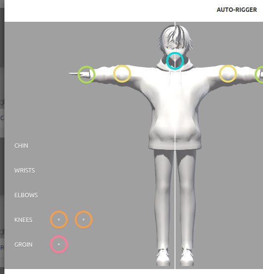 The auto-rigger window with my character